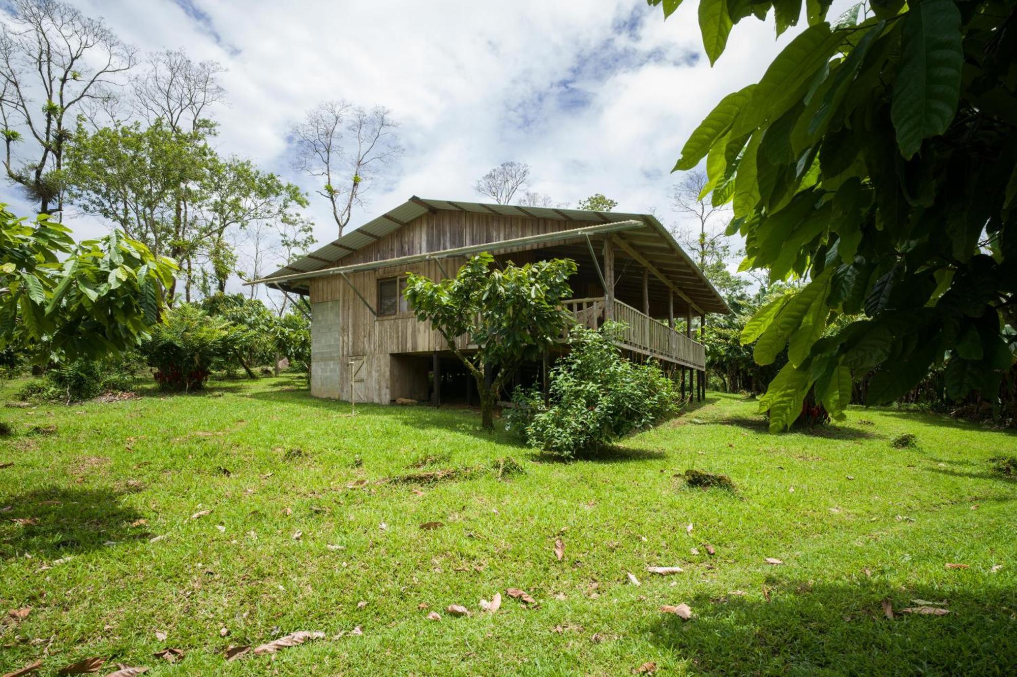 Finca Amistad Cacao Lodge Bijagua Exterior foto