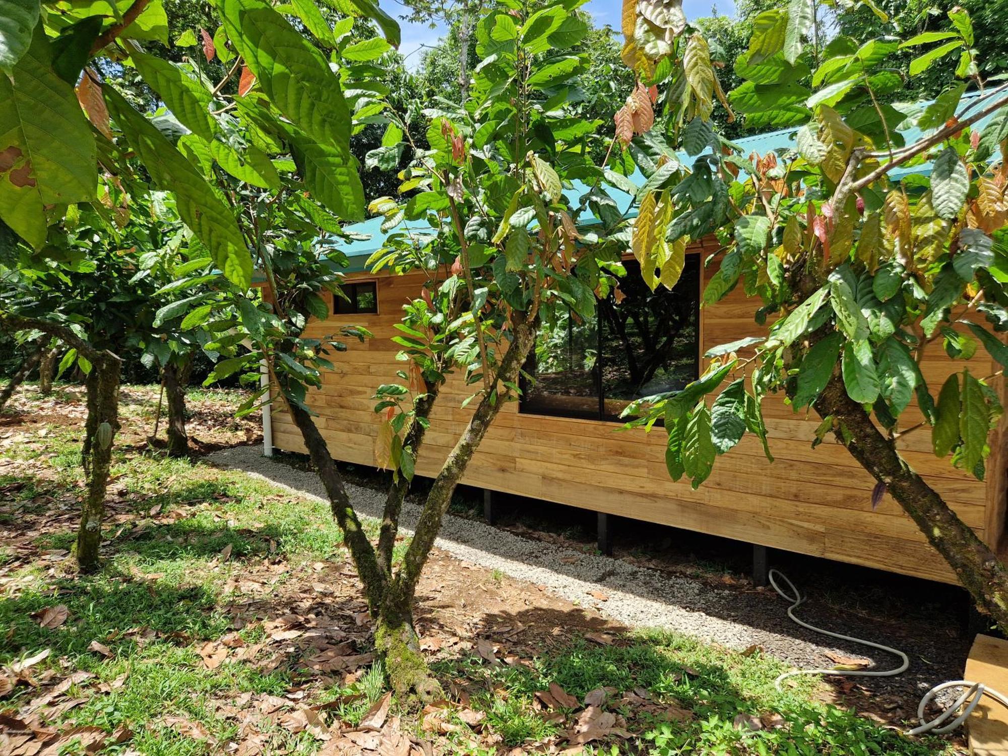 Finca Amistad Cacao Lodge Bijagua Exterior foto