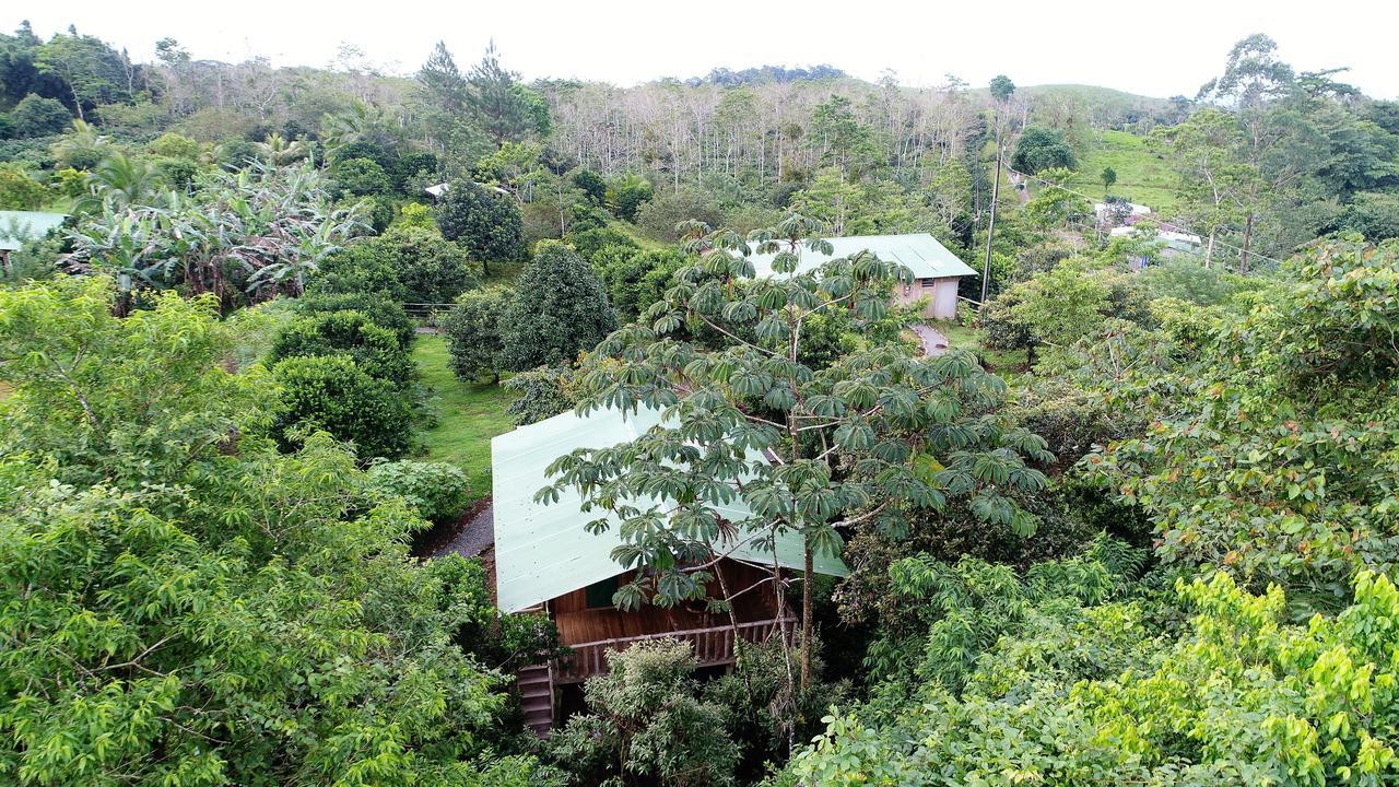 Finca Amistad Cacao Lodge Bijagua Exterior foto