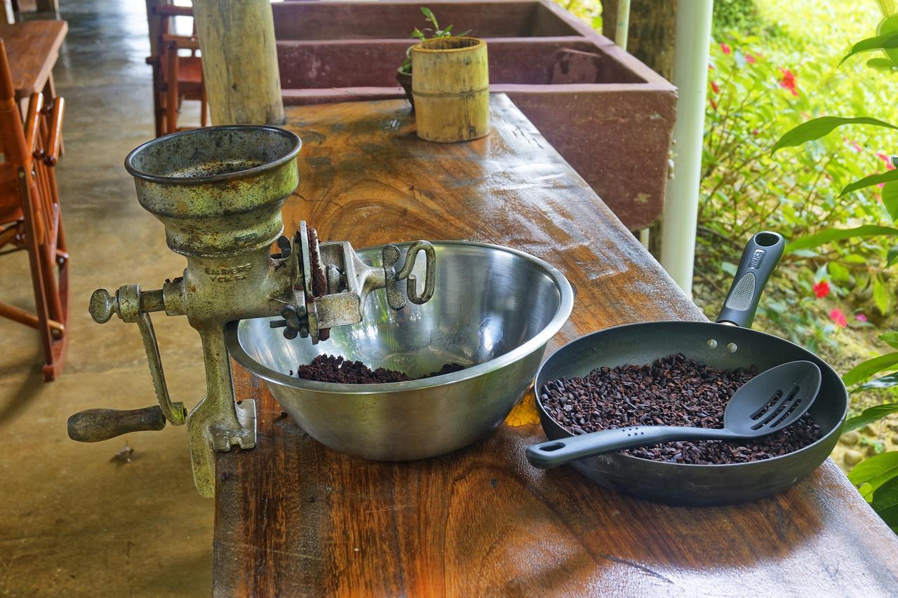 Finca Amistad Cacao Lodge Bijagua Exterior foto