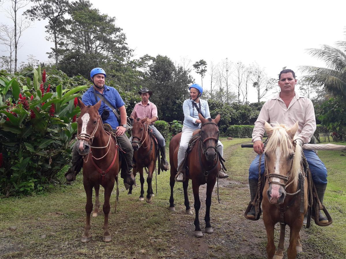 Finca Amistad Cacao Lodge Bijagua Exterior foto